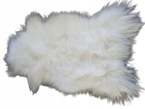 Ovčia koža 150 cm Obrovská Ovčia koža Gigant Biela XXXL Prírodná