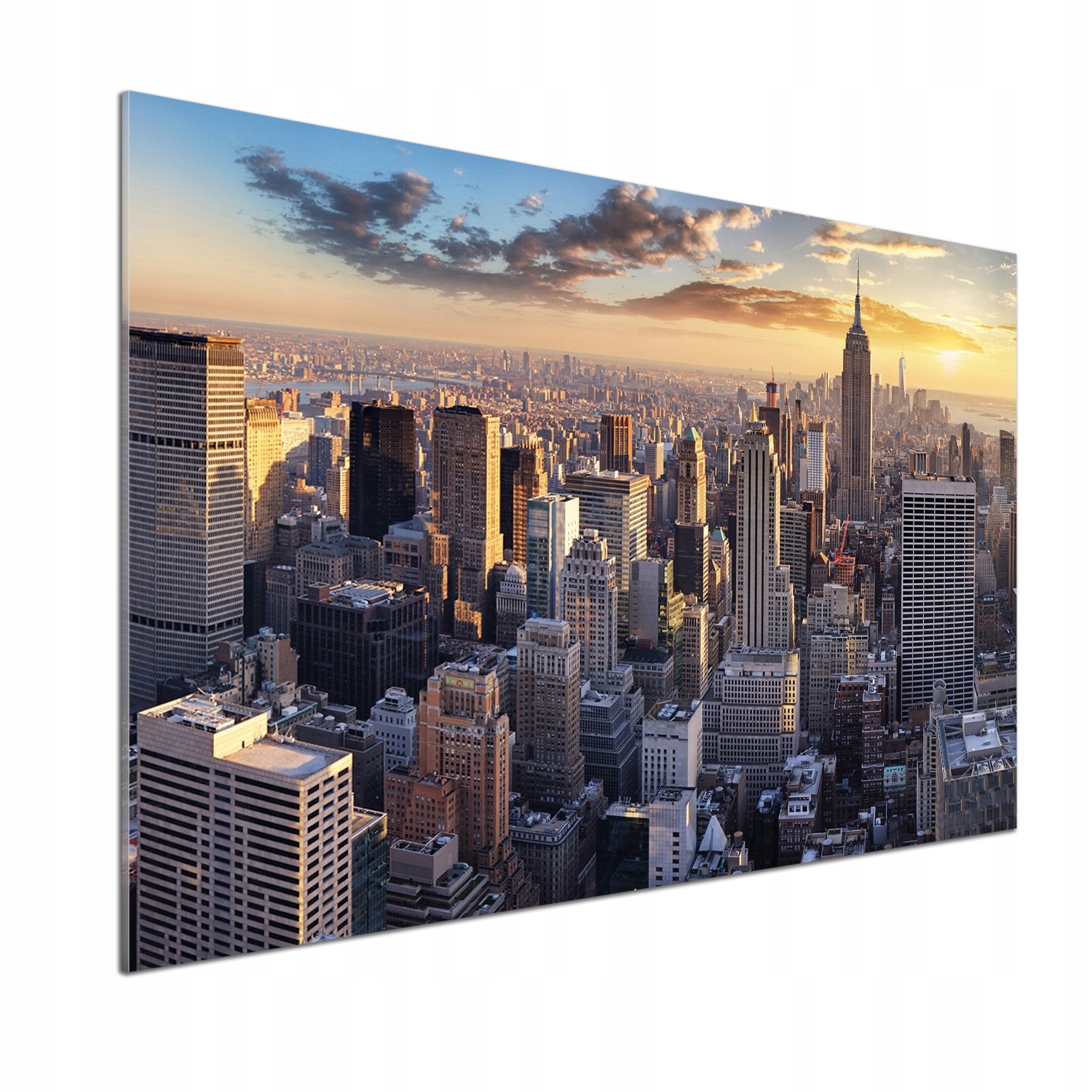 Panel lacobel New York vtáčí let 100 x 70 cm Lepidlo