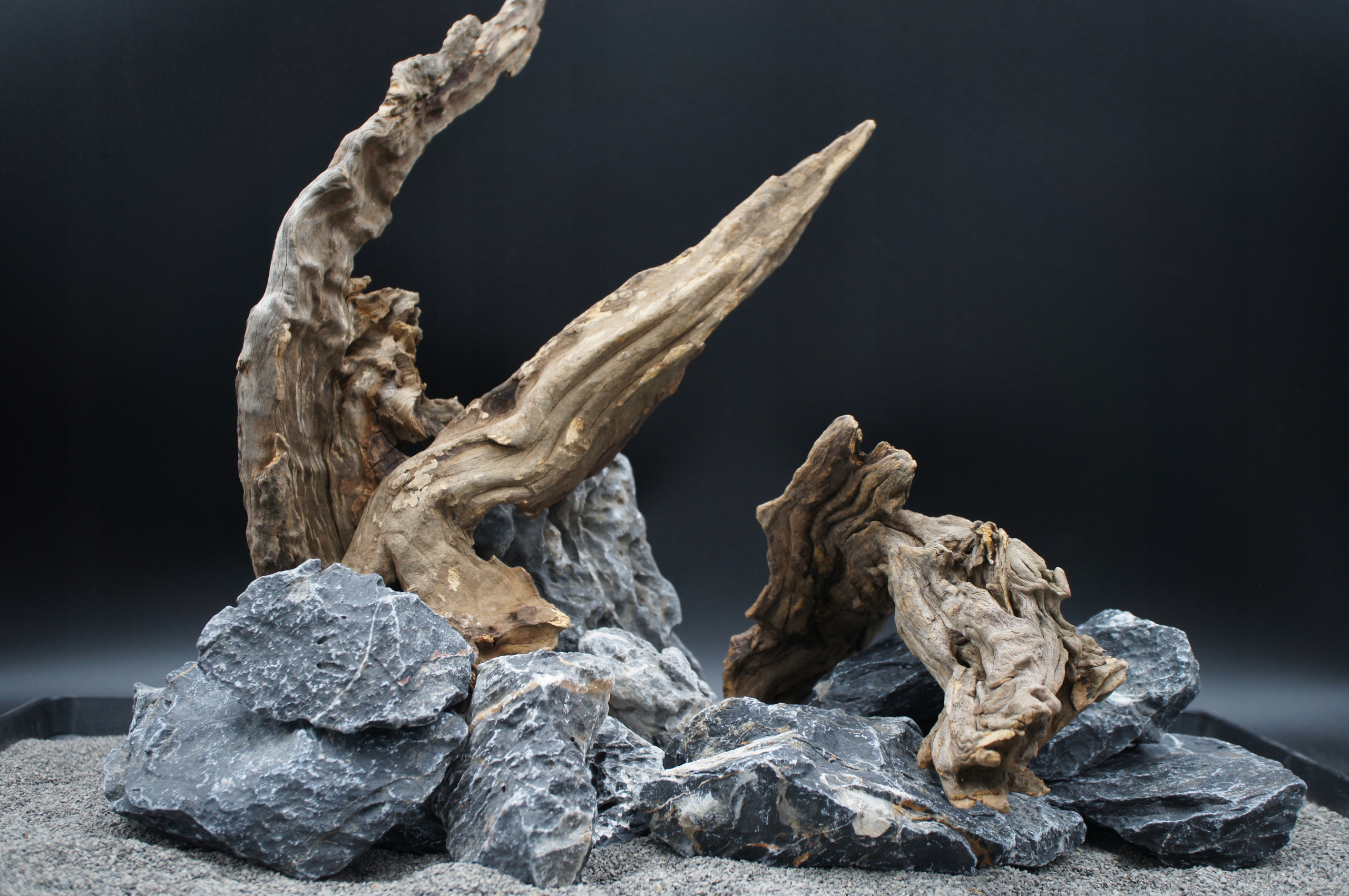 Skała scenery stone Black kořen jagged wood Set Z Fotografie (A7)