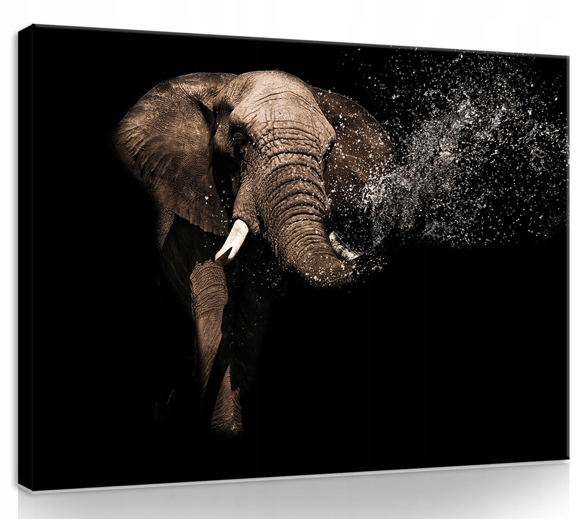 Obraz Na Plátně Canvas 100x75 Slon Sprchová Voda