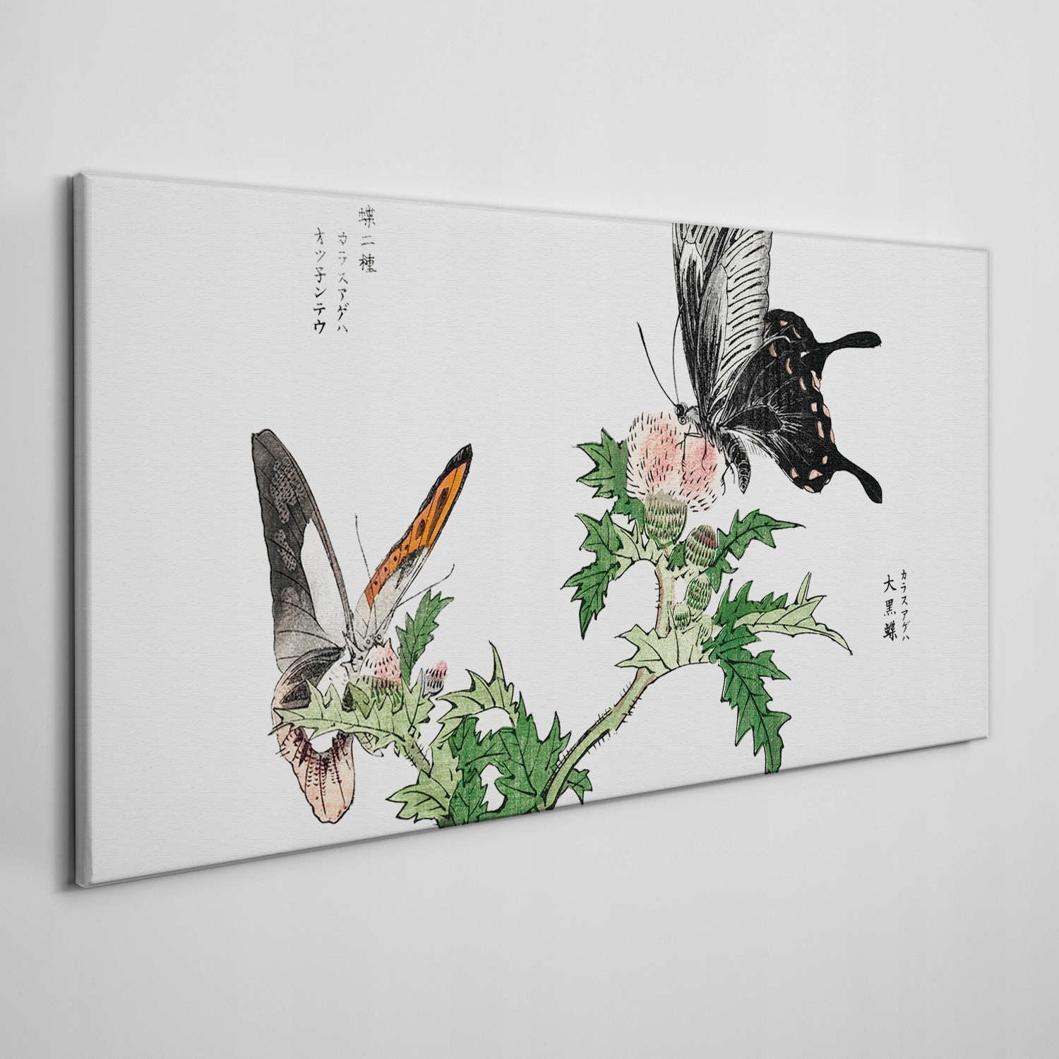 

Obraz na ramie płótno Gałąź kwiaty motyl 100x50 cm