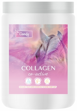 Biofeed Candy Collagen Co-Active 900 g – podpora pohybu