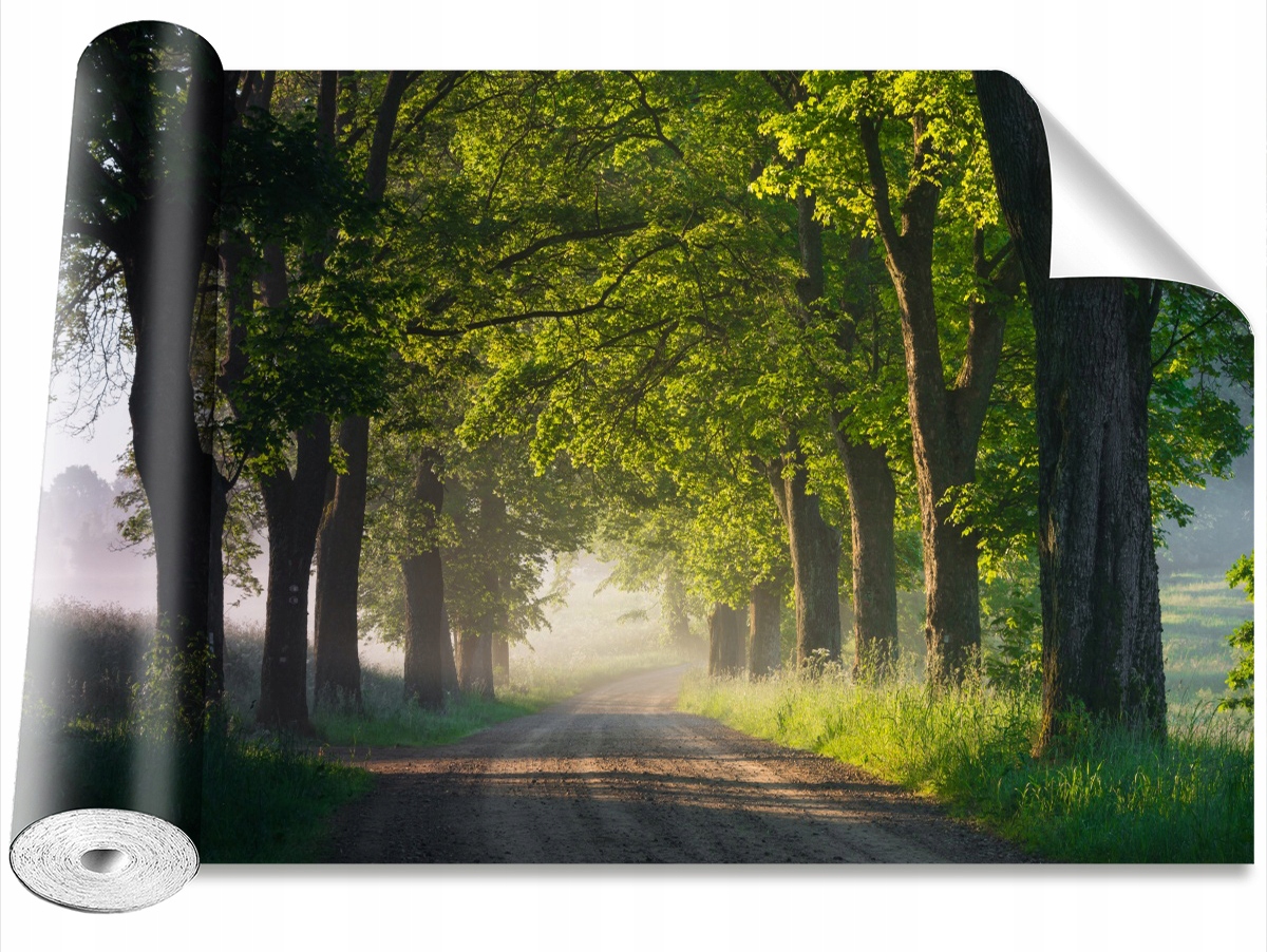 

Tapeta Samoprzylepna Aleja drzew 152x104