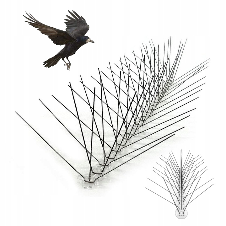 

Kolce Na Gołębie Ptaki Gęste Metalowe Mocne 50 kol