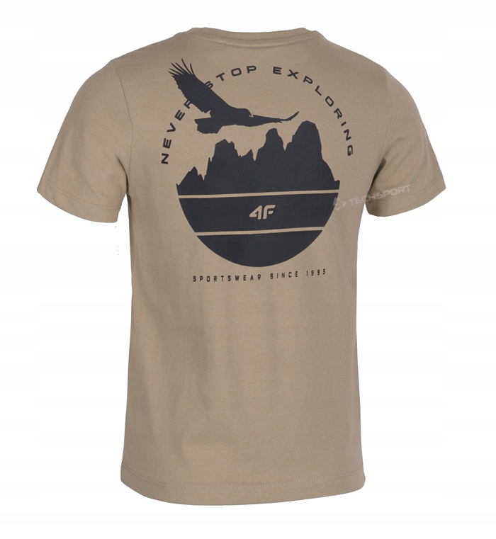 4F CHŁOPIĘCA KOSZULKA T-SHIRT BAWEŁNA / 164 Kod producenta 0005920564632