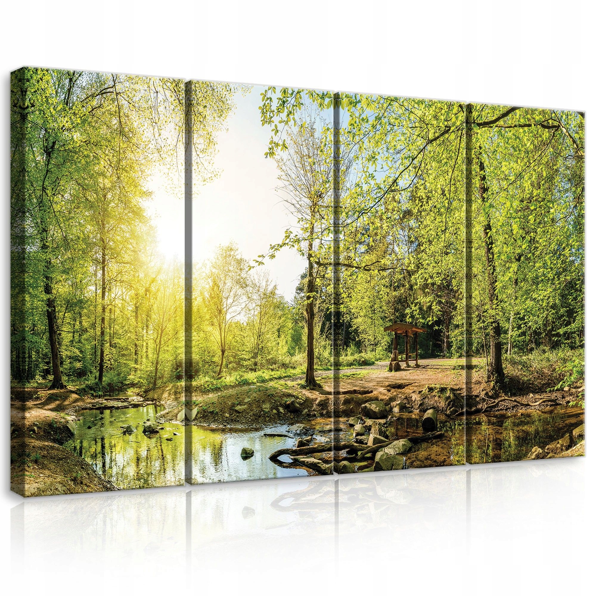 Obraz 120x80 Zelený les slnečné svetlo prúd pokoj príroda krajina