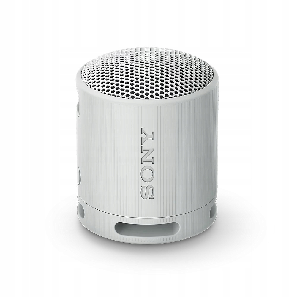 Prenosný reproduktor Sony SRS-XB100 sivý, 2,5 W
