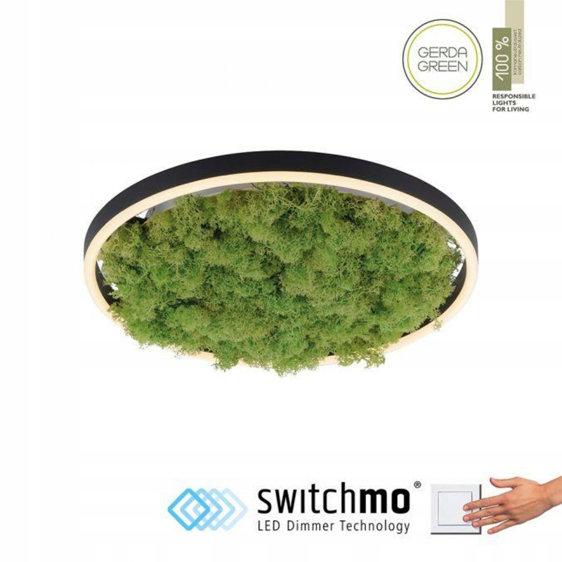 Led stropné svietidlo Just Light Island Moos 40×40 cm, stmievateľné, mach, če