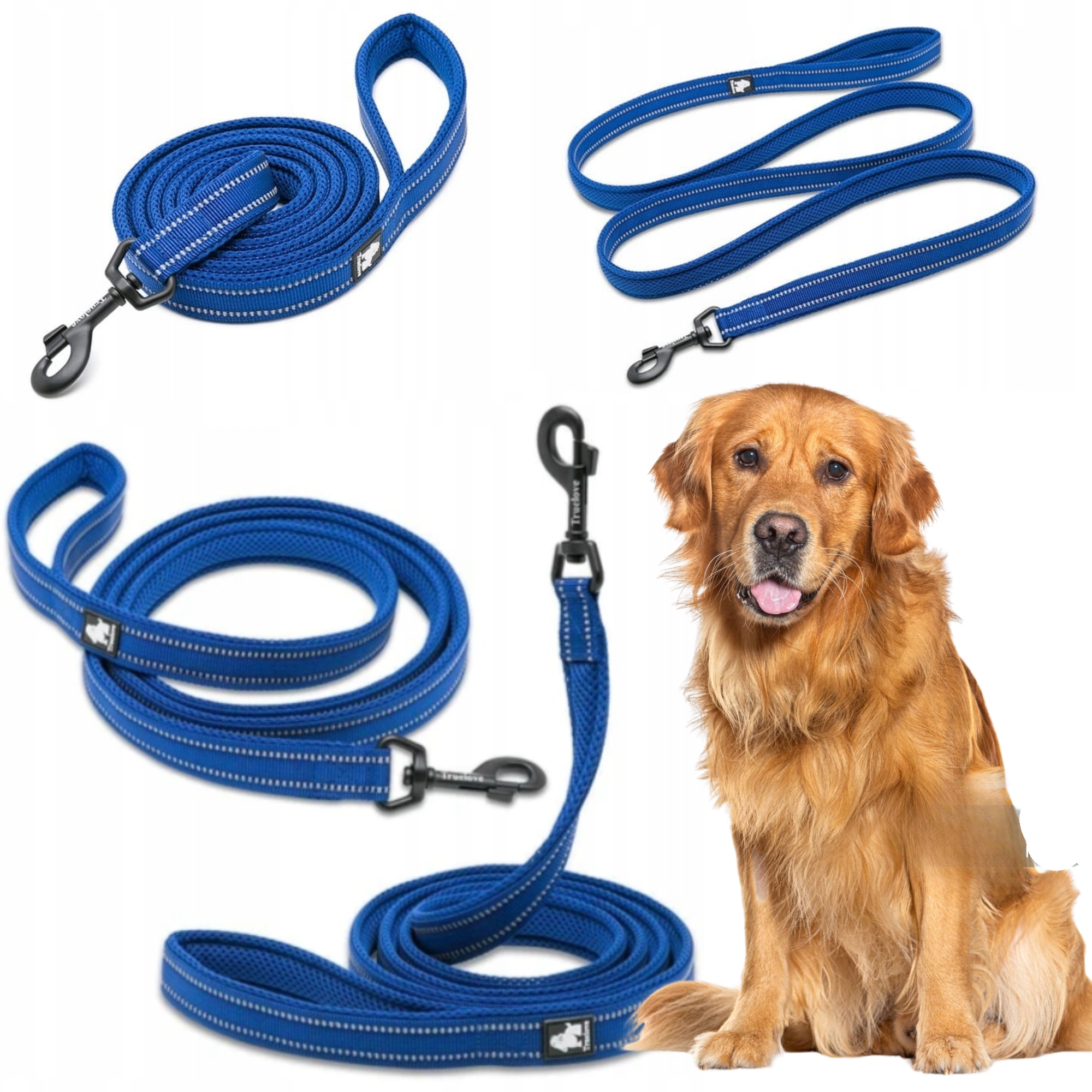 Levně Vodítko Pro Psa Reflexní Silná Truelove Active Tmavě Modrá 200 CM Velikost L