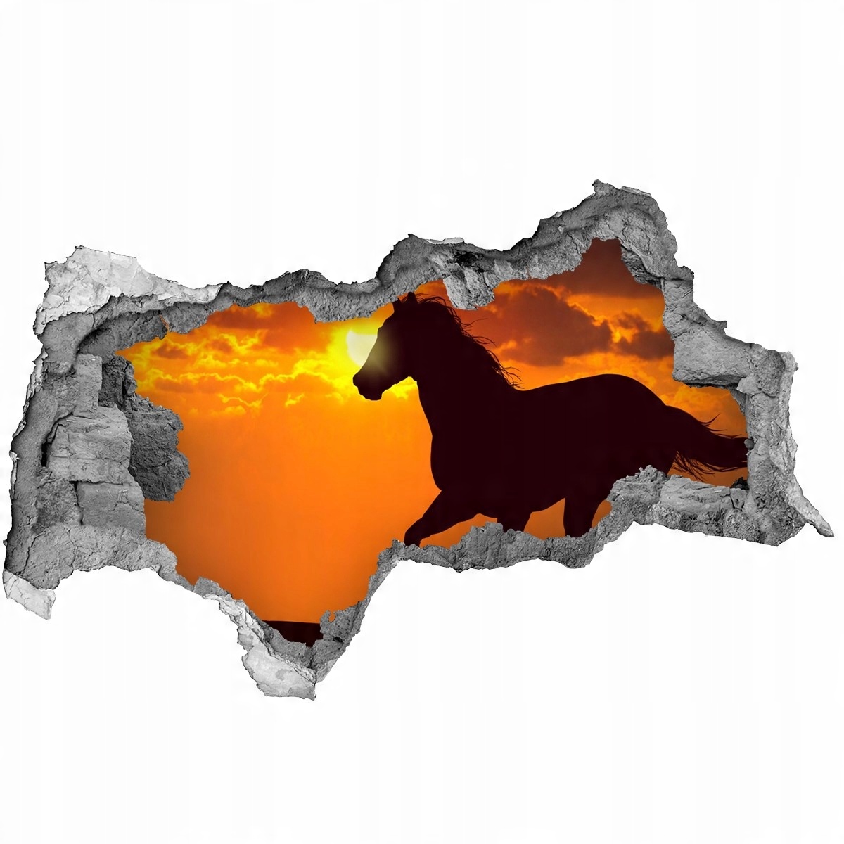 

Dziura 3d fototapeta na ścianę Koń zachód słońca