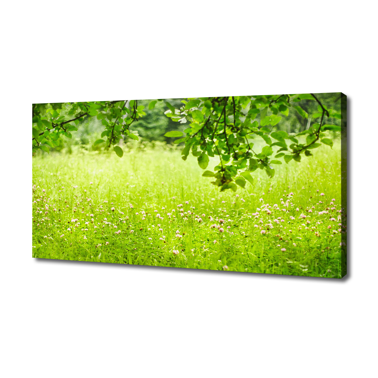 

Foto obraz duży na płótnie Zielona łąka 140x70 cm