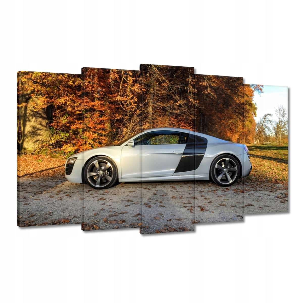 Obrazy 100x60 Podzimní Audi Auto