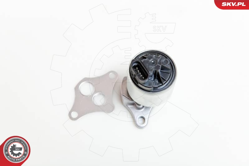 SKV NIEMCY 14 SKV 037 Zawór egr