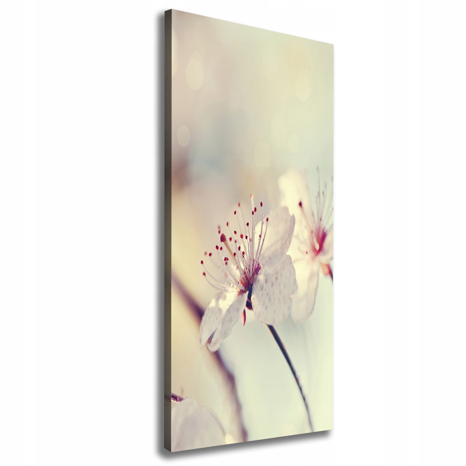 

Foto obraz canvas do salonu Kwiaty wiśni 50x125