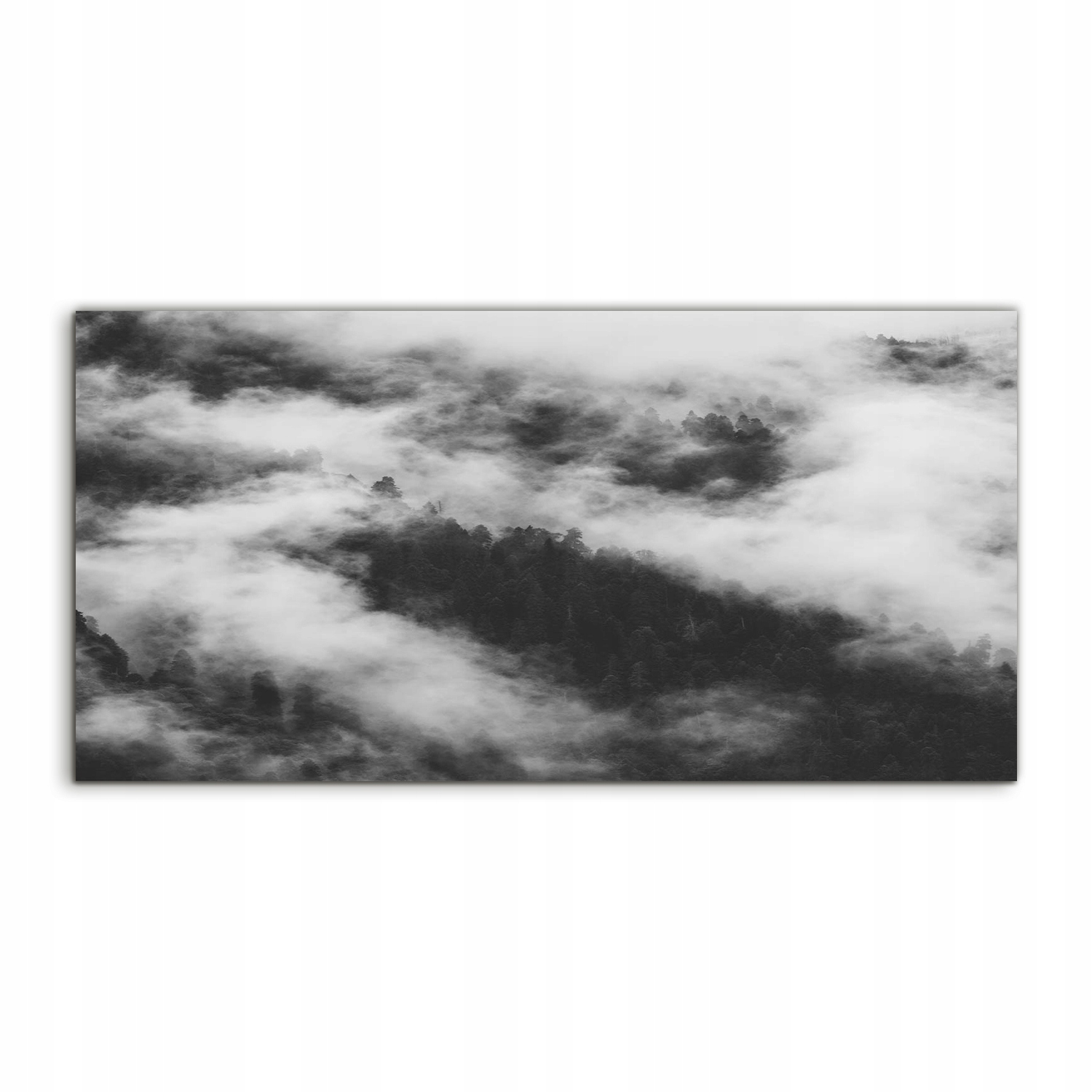 Obraz 100x50 Závesná krajina Hmla Les ako darček