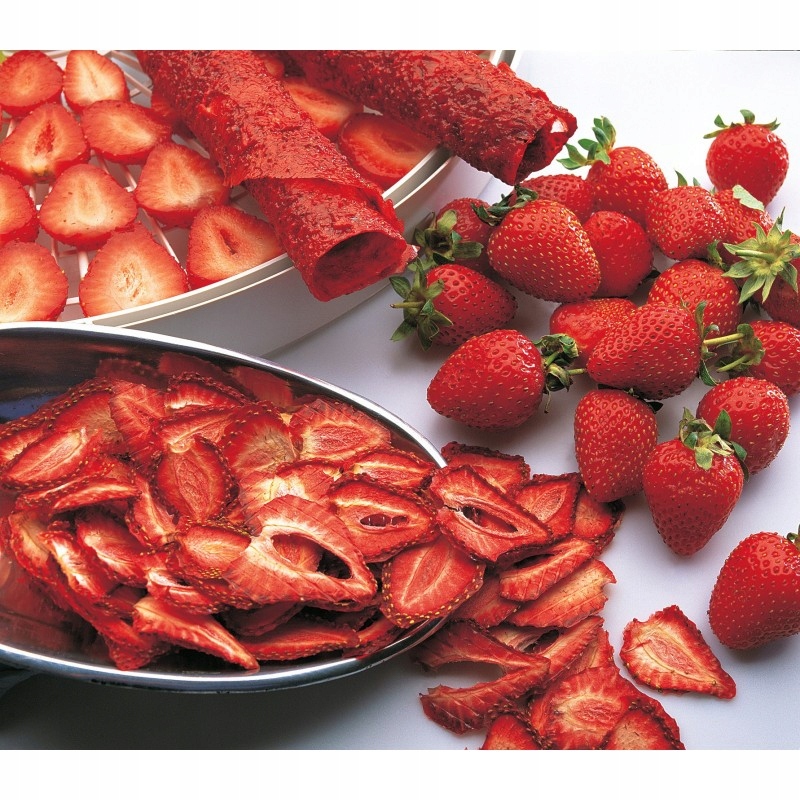 Dehydrator EZIDRI ULTRA FD1000 DIGITAL Model Ultra FD1000 Digital