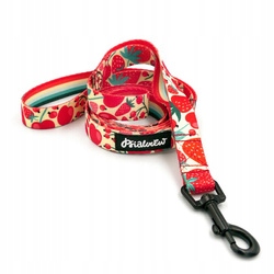 Levně Vodítko pro psa Fruit Jelly Psiakrew 160 cm