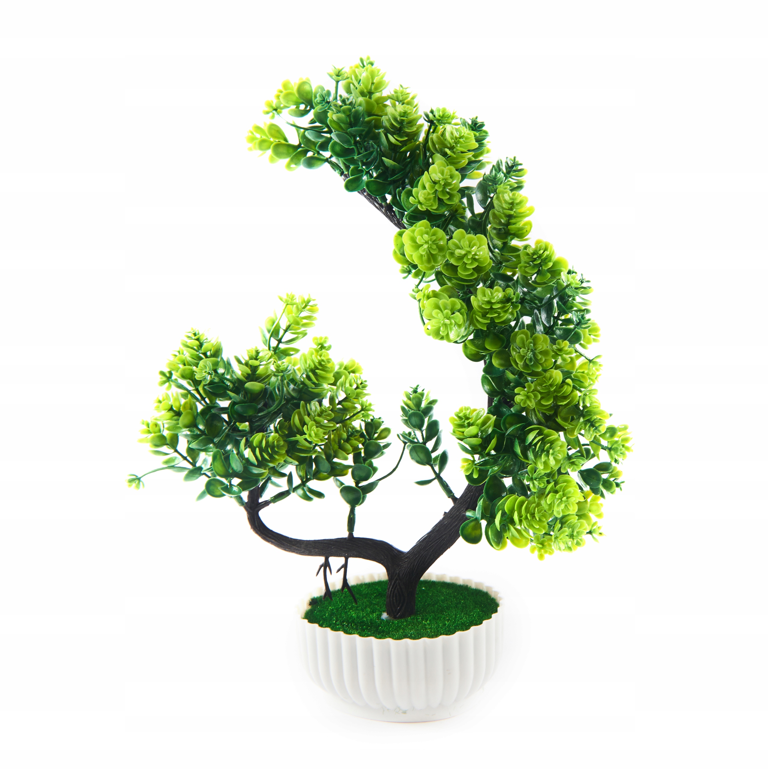

Drzewko Bonsai W Doniczce Roślina Różne