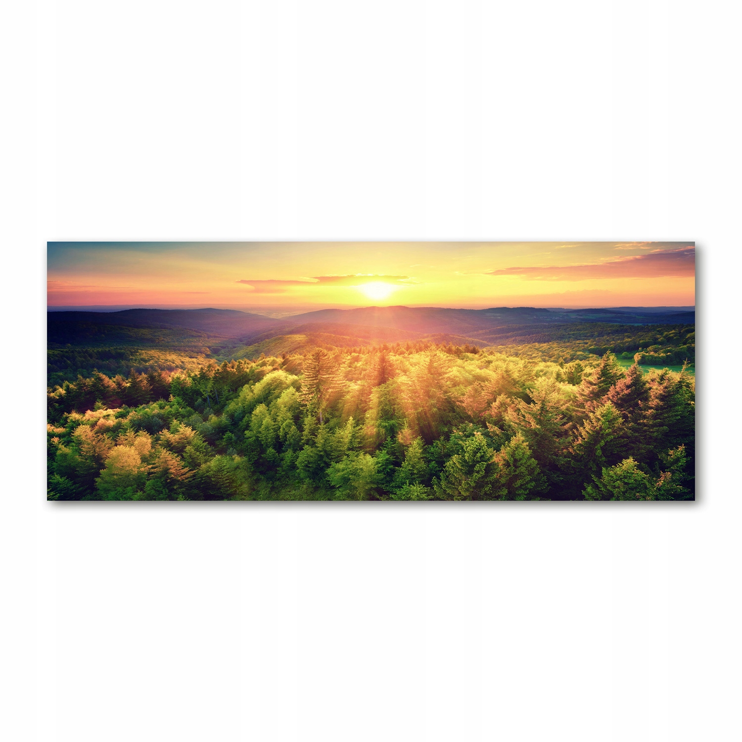 

Foto obraz szkło akryl Las zachód słońca 125x50 cm