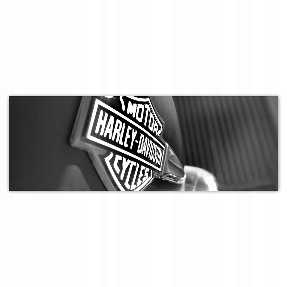

Fototapety flizelina 624x219 Logo Harley Davidson