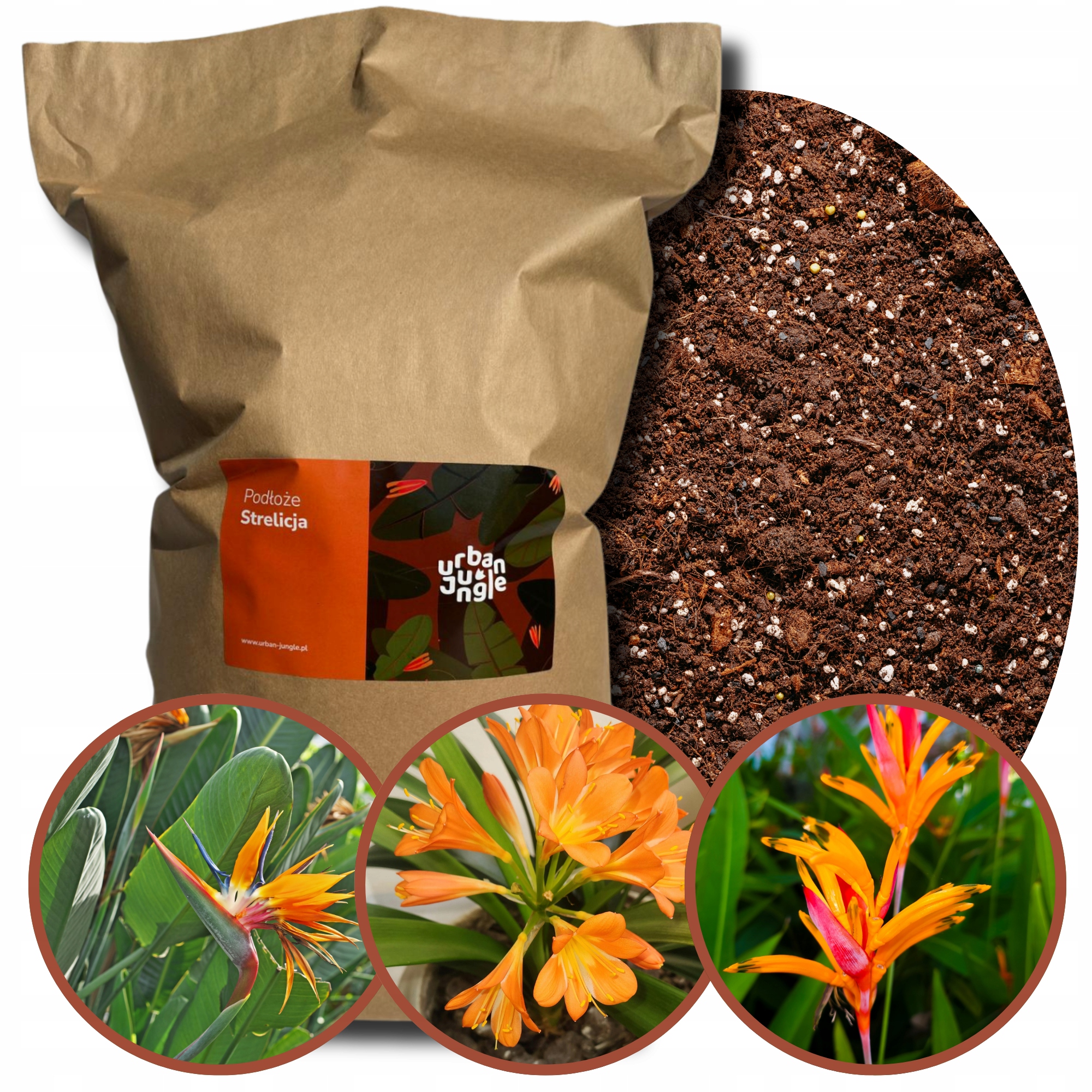 Zem pro Strelicii 15L bigos, substrát