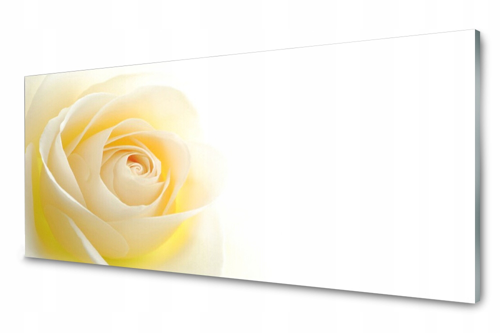 

Panel szklany do kuchni Róża Kwiat Roślina 125x50