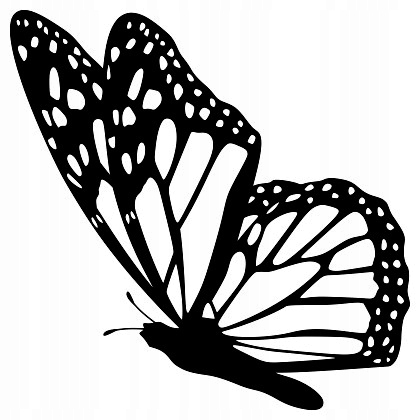 

Naklejka na ścianę motylek Motyl 15 cm