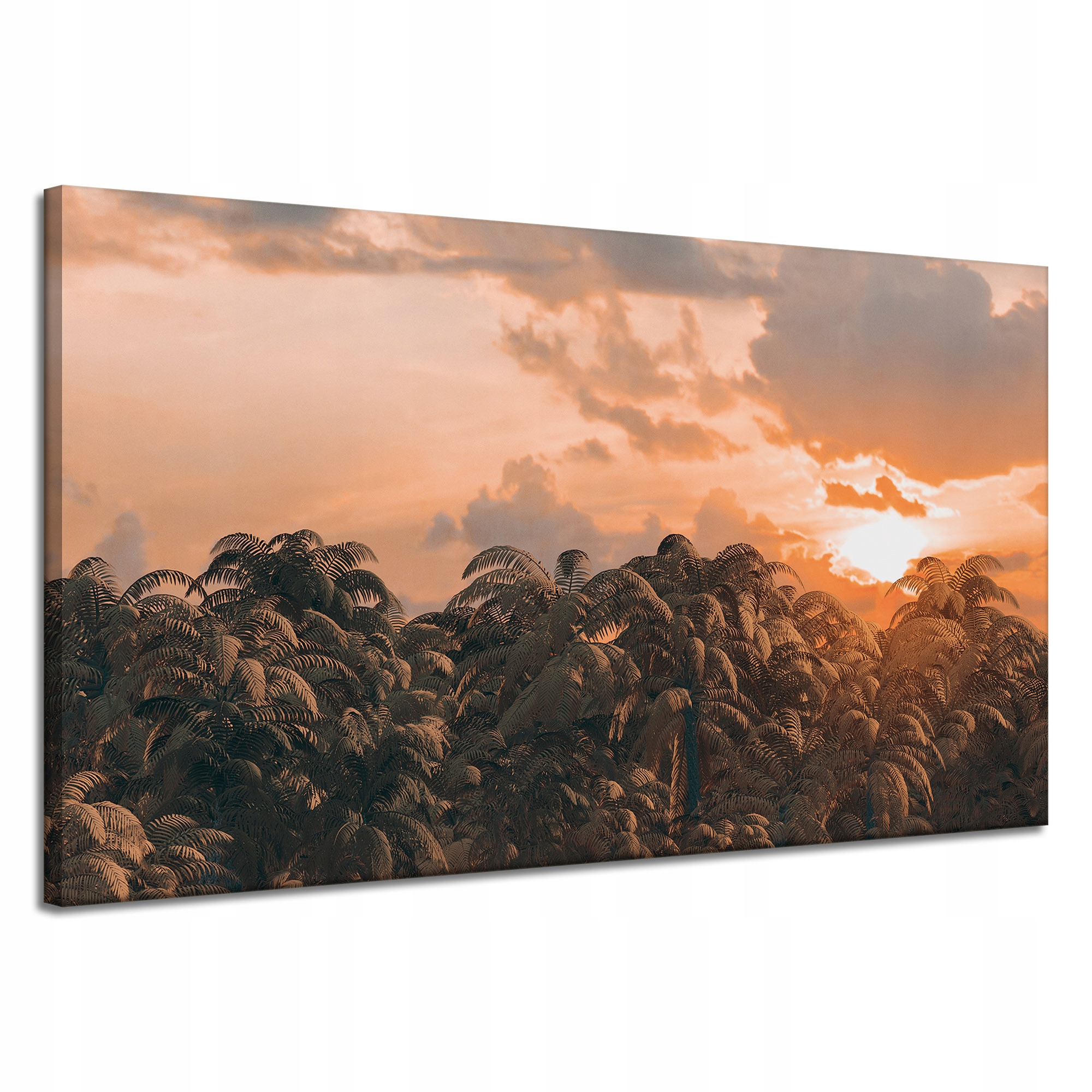 Obraz na plátně Stromy Západ Slunce Mraky Nebe 120x70 cm