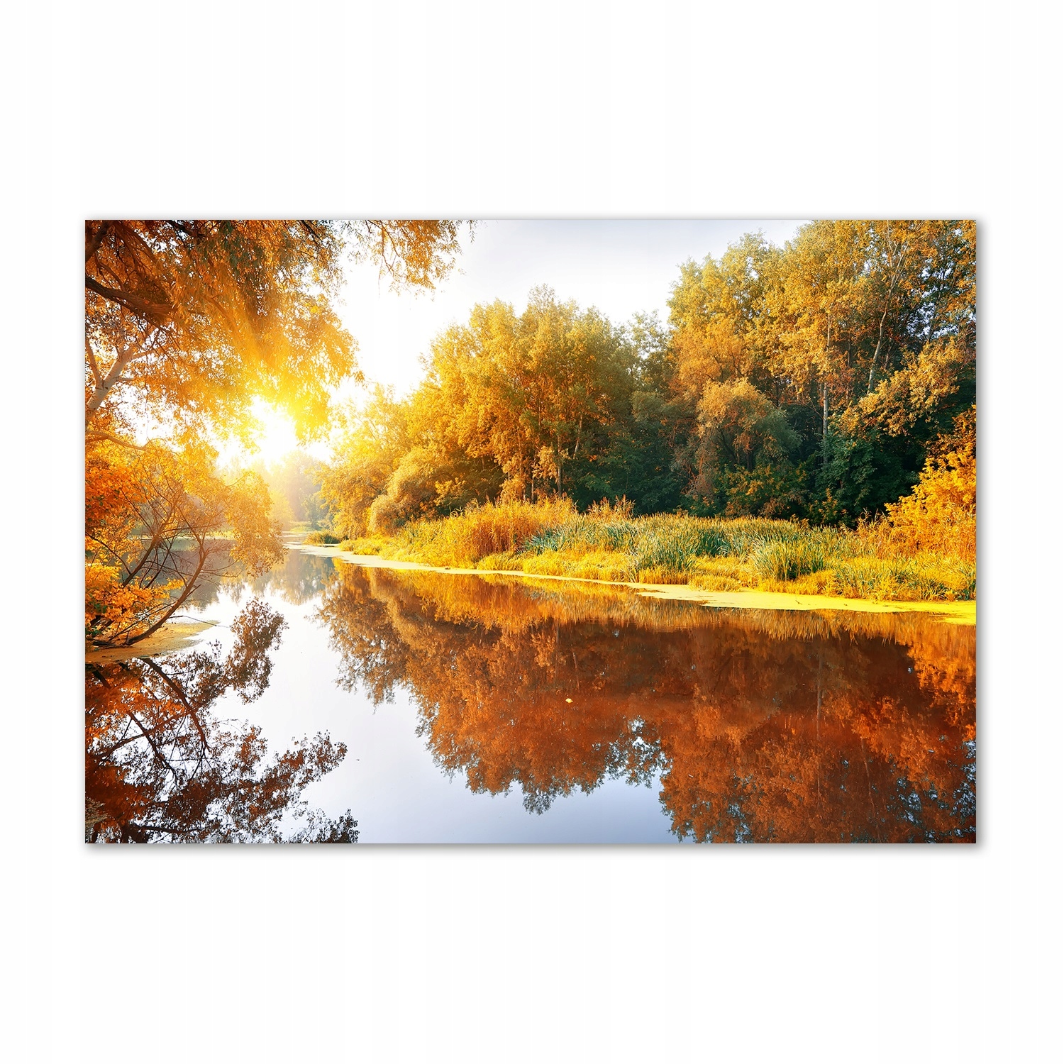

Foto obraz szkło akryl Rzeka jesienią 100x70 cm