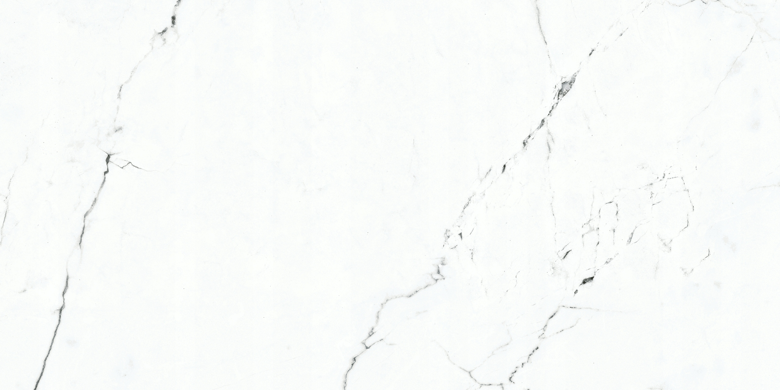 PŁYTKI BIAŁY MARMUR VIGNOLA BIANCO 60x120 POŁYSK Typ gres