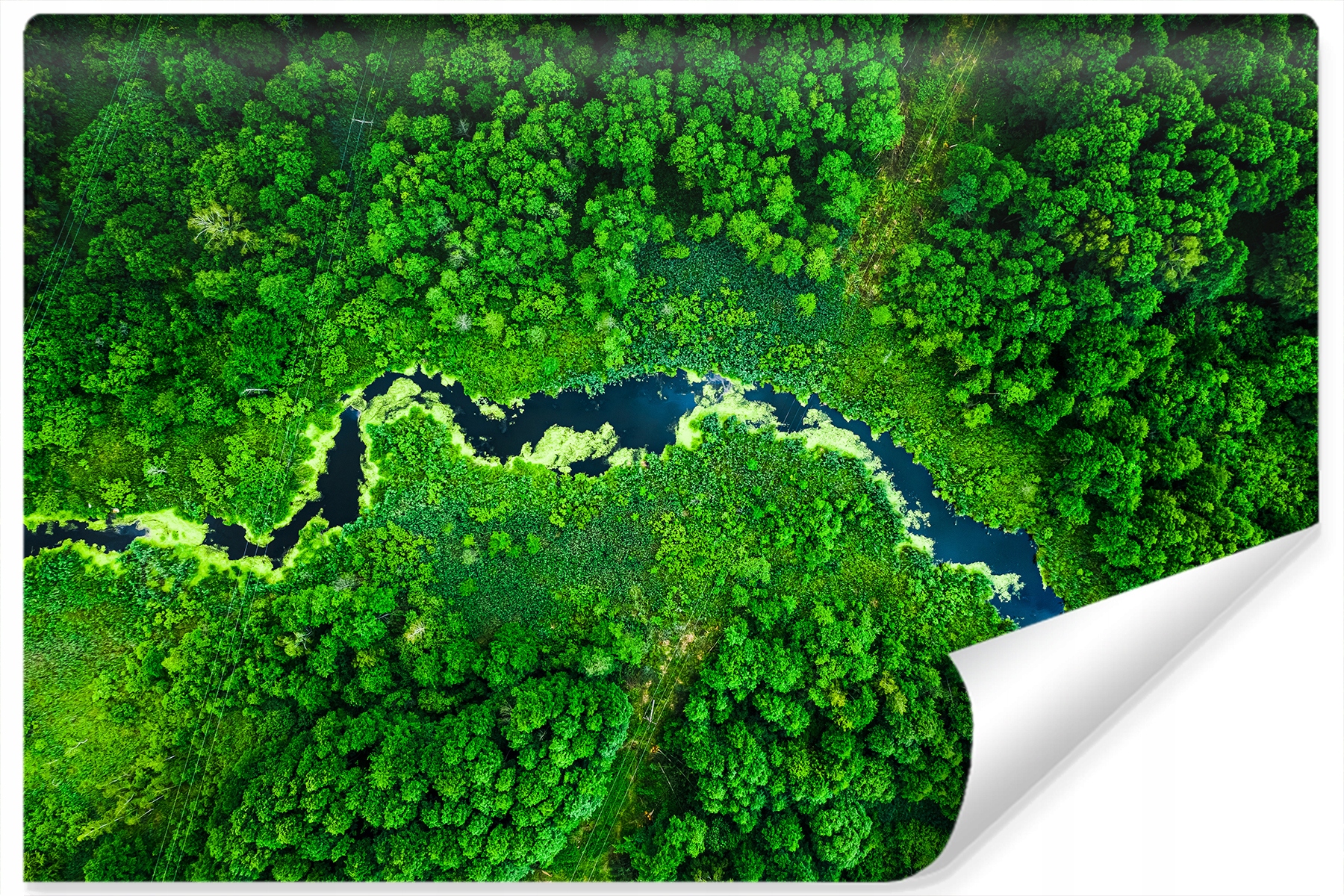 Fototapeta Řeka Stromu Pohled z ptačí perspektivy 360x240