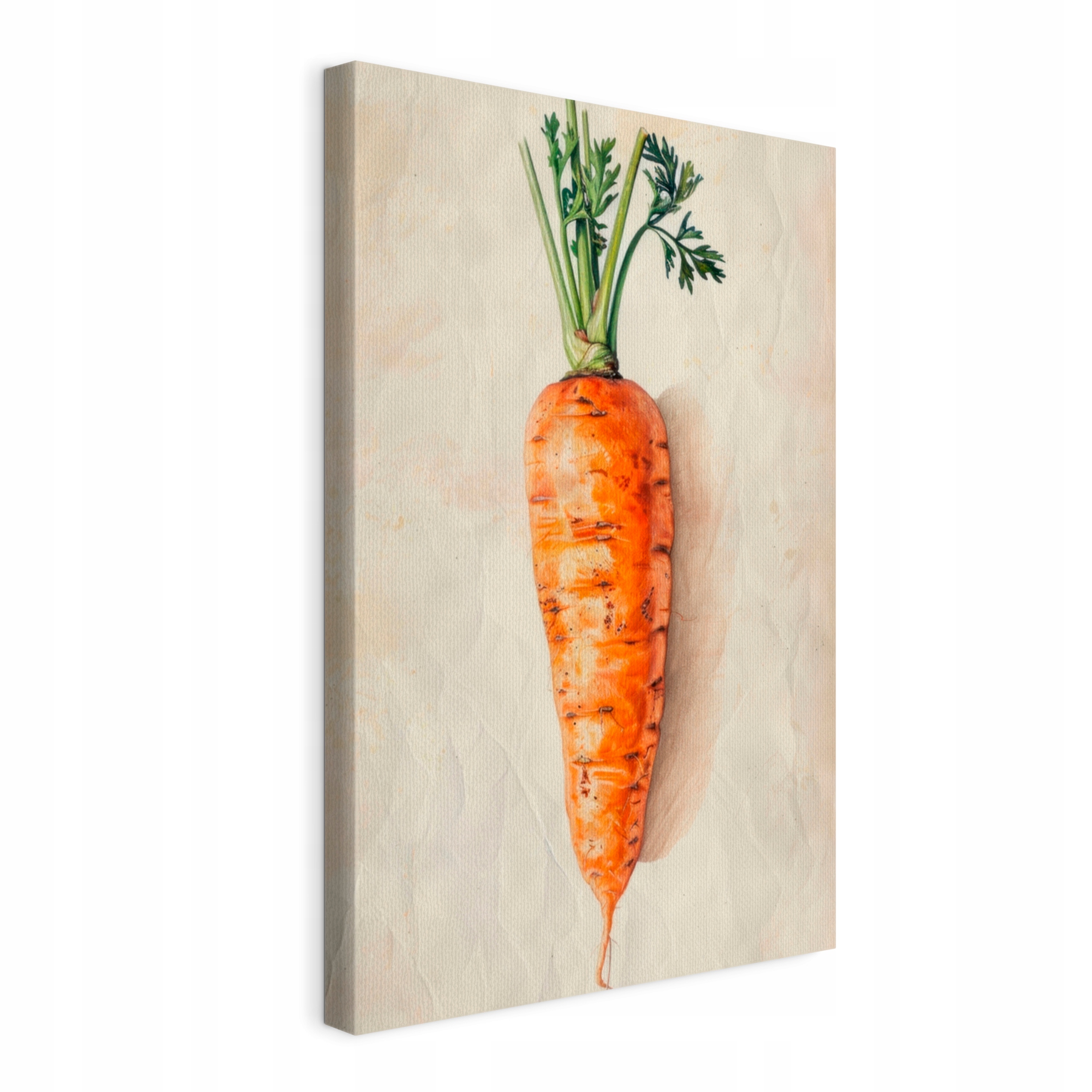 Obraz na plátně Jedna mrkev s natí do kuchyně Restaurace 80x120