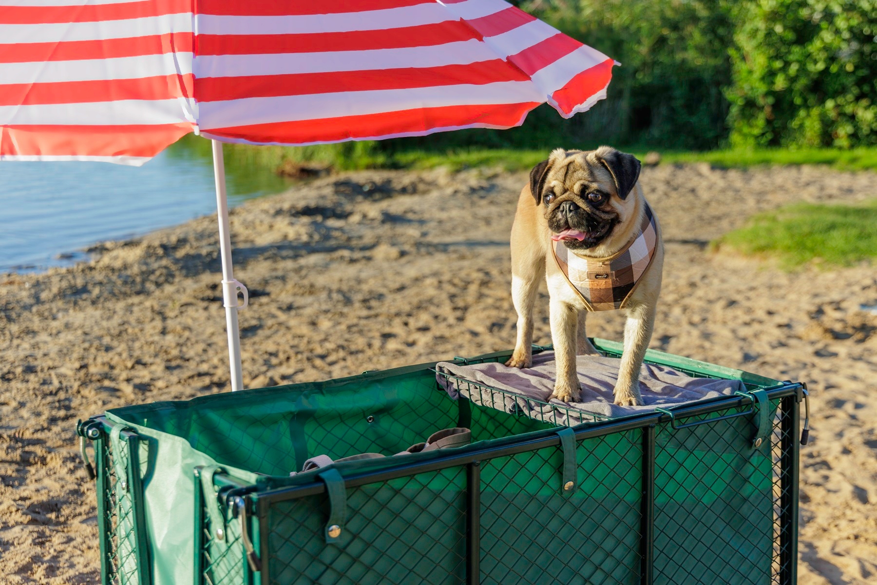 WÓZEK TRANSPORTOWY 4 KOŁOWY OGRODOWY PRZYCZEPKA Marka Carruzzo