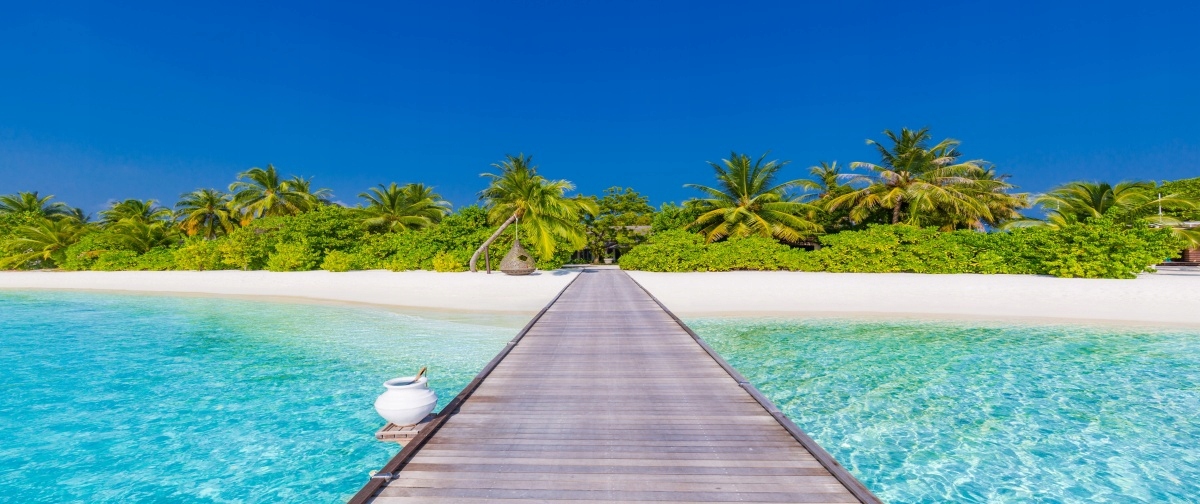 

Fototapeta Flizelinowa Plaża Palmy 250x104