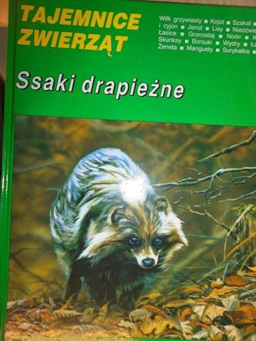 Tajemnice zwierząt. Ssaki drapieżne -