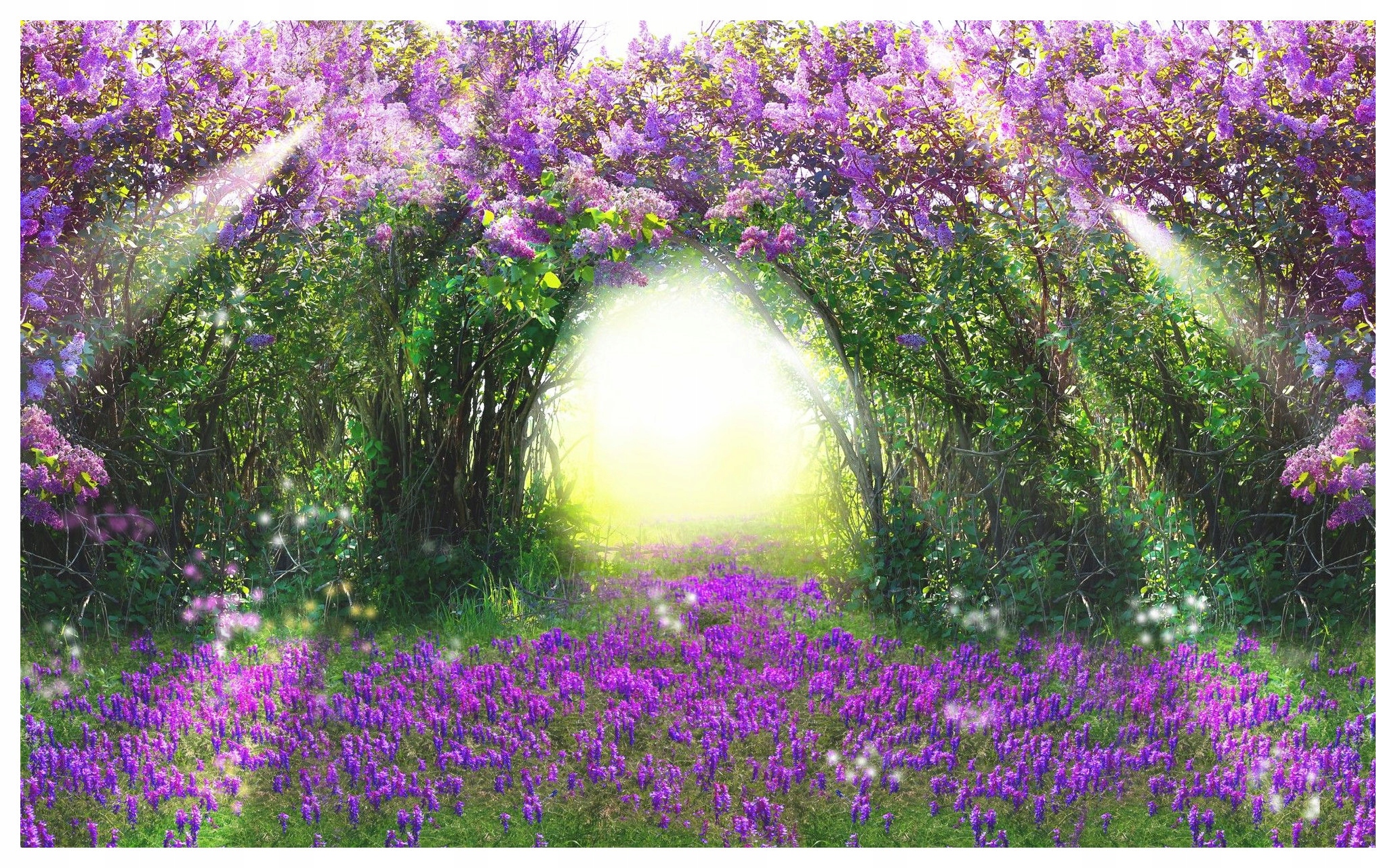 Vliesová fototapeta Magický les Kvitnúci oblúk jari 300x210 lepidlo