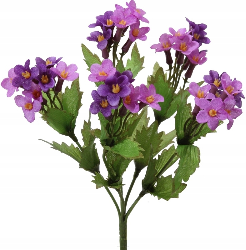 

Niezapominajka Róż/fiolet Bukiecik 24 cm