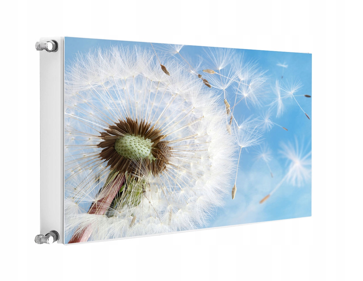 Magnet Na Radiátor 80x60 Květiny Fototapeta