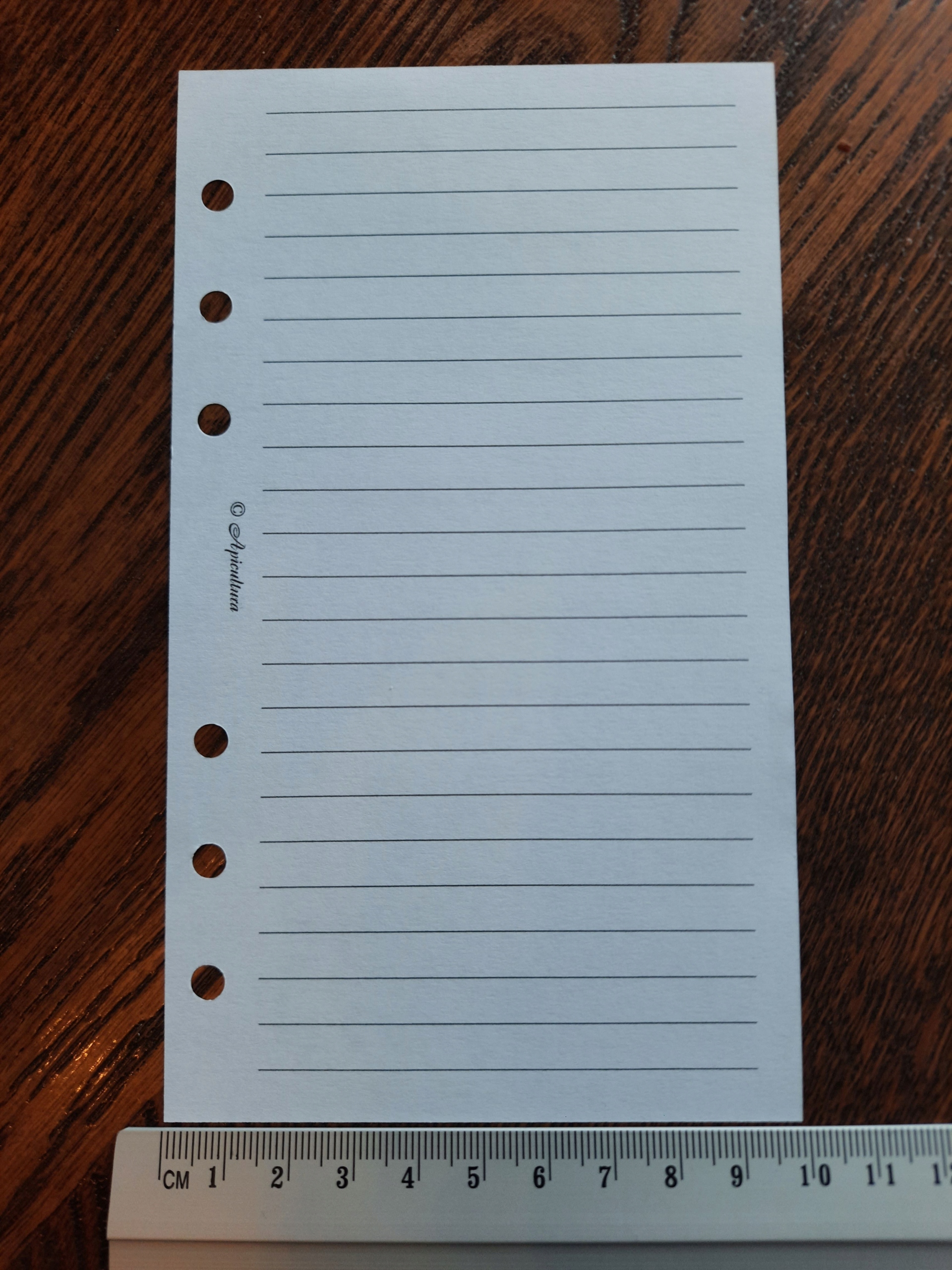 Wkład segregatora notesu planera Biały - zadruk LINIA - A6 9,9x17cm Rozmiar A6