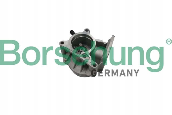 Borsehung B18666 насос вакуумный, система