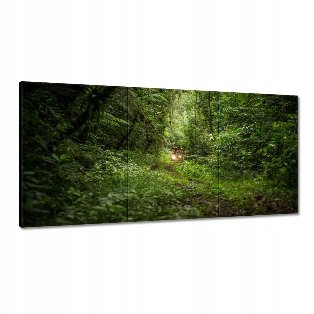 Obrazy 180x90 Quad Štyri kruhy Terén