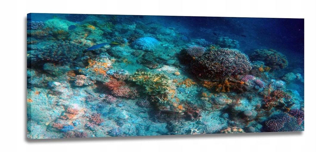 Obraz Korálový Útes Obrazy Canvas 120x50