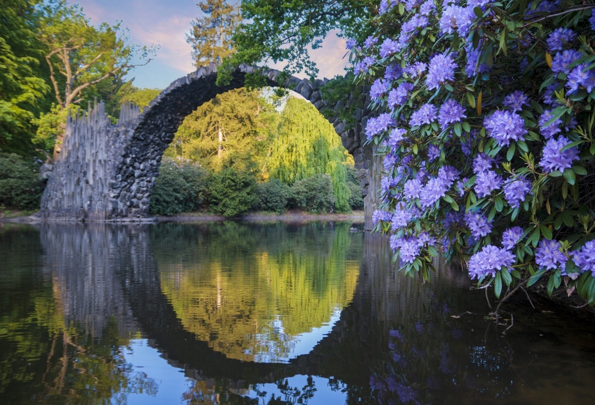 

Fototapeta Flizelinowa Rododendrony - 104x70