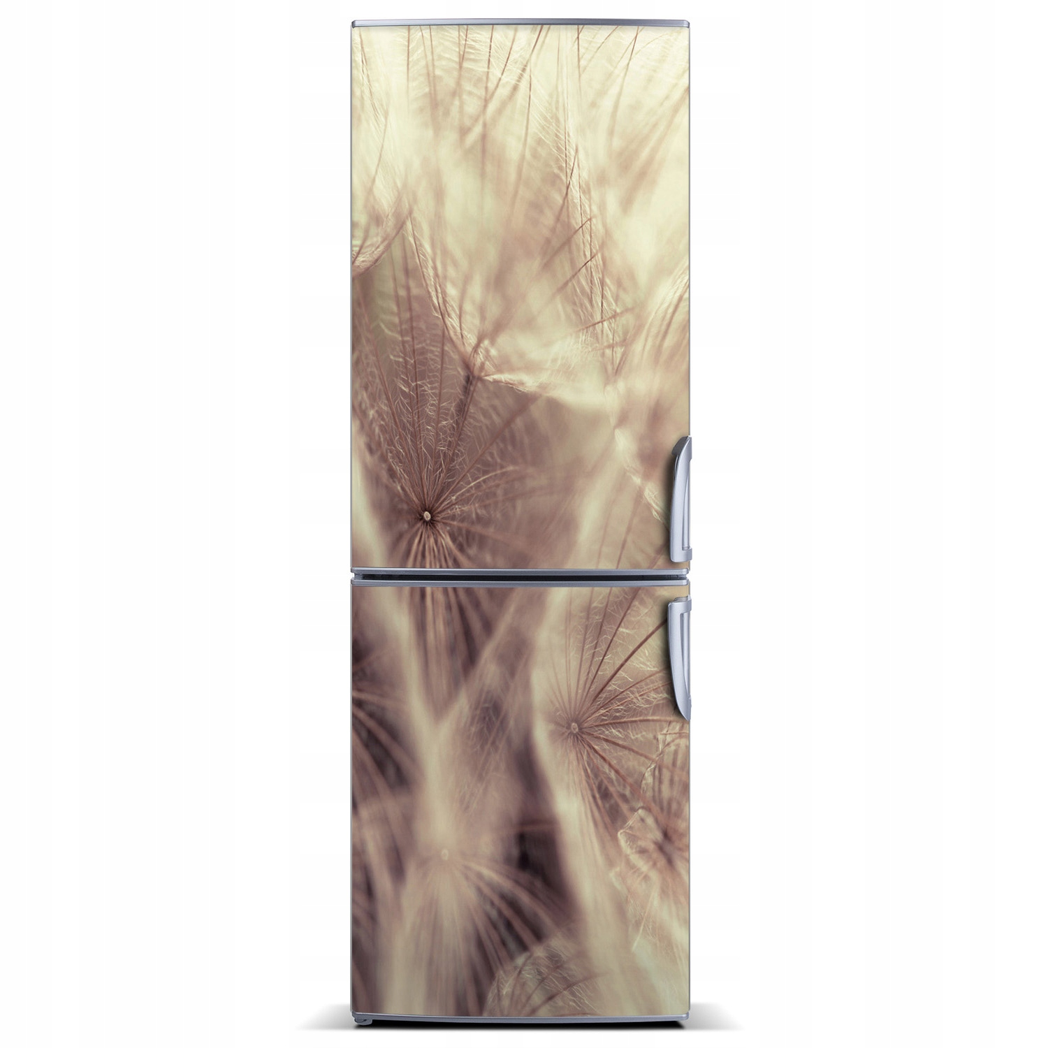 

Magnes Magnes Tapeta na lodówkę Dmuchawiec 60x180