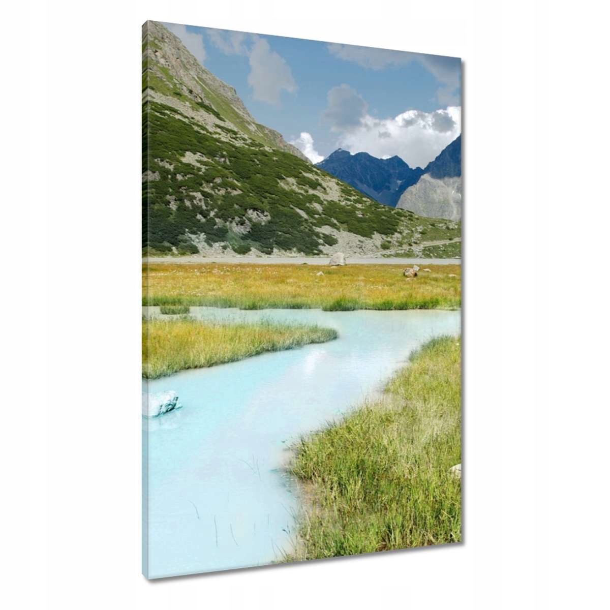 Obrazy 60x90 Alpy