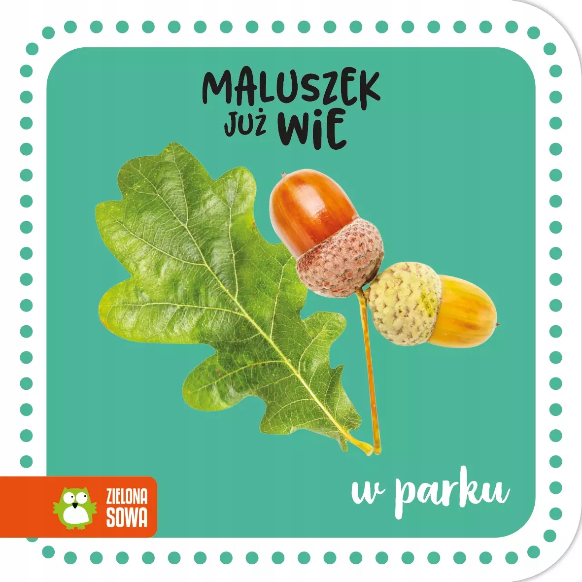 Maluszek już wie. W parku. Zielona Sowa