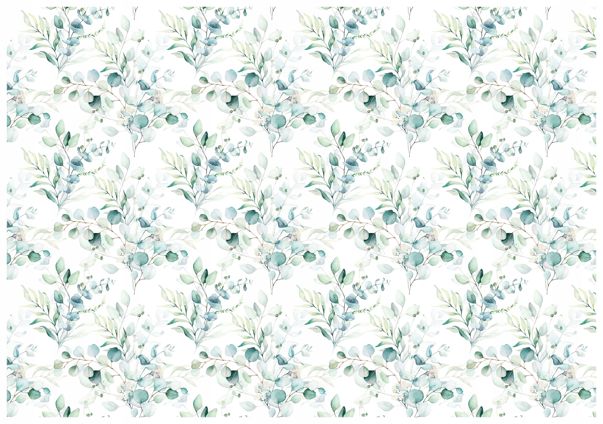 Fototapeta Eukalyptus listy vetvičky do obývacej izby spálne 416x254 lepidlo