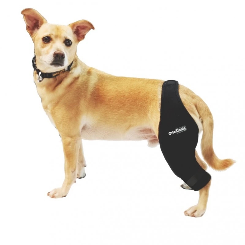 Pravá kolenní ortéza s lištou Ortocanis [velikost M]