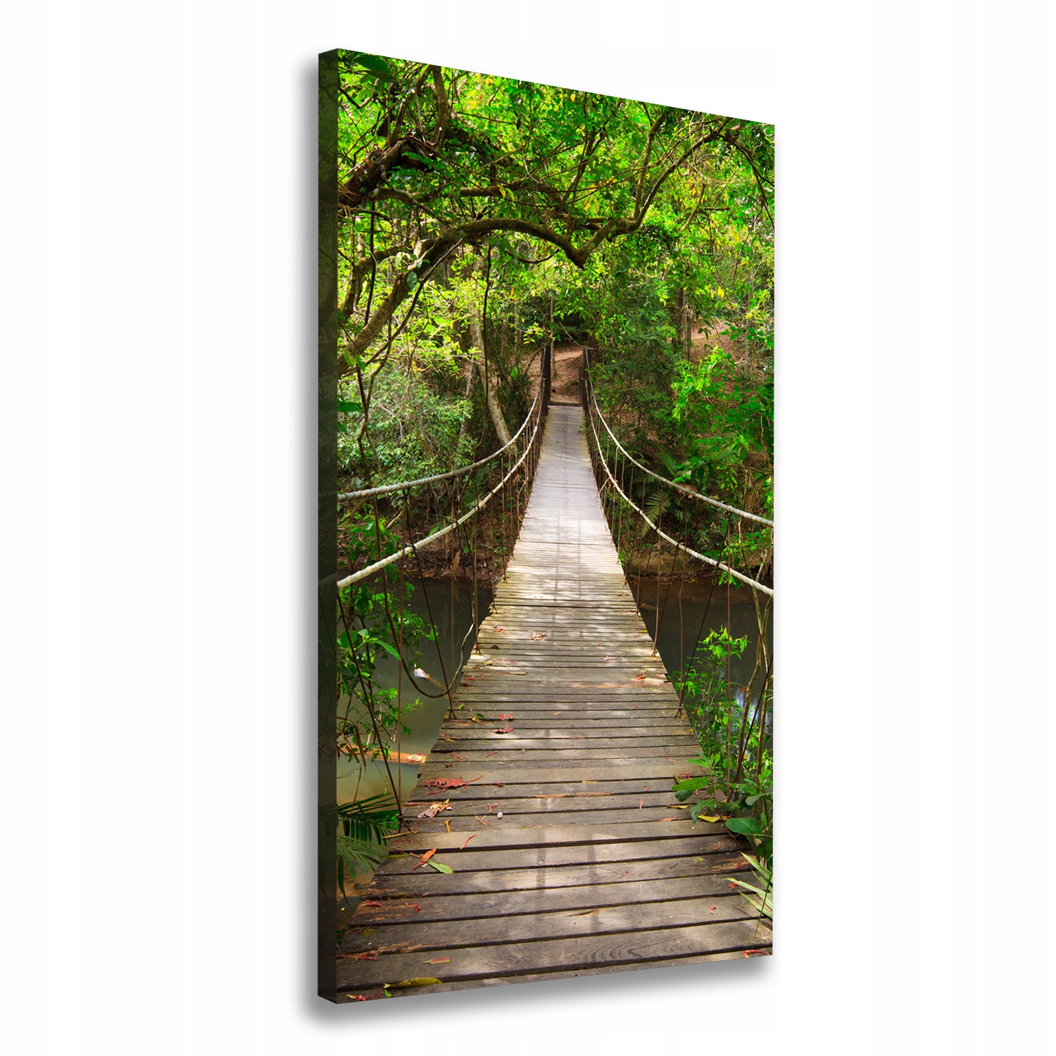 

Foto obraz canvas do salonu Most wiszący 50x100