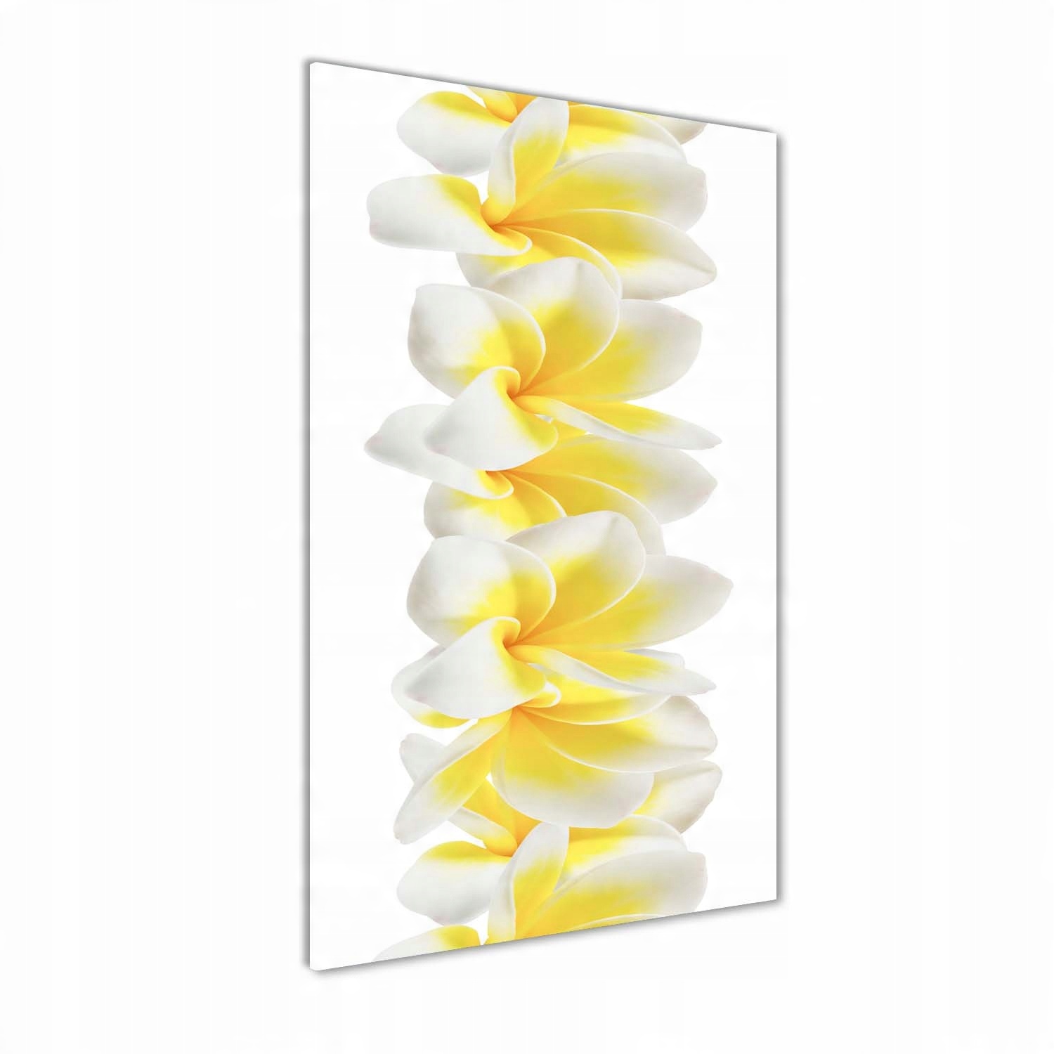 

Foto obraz akrylowy na ścianę Plumeria 60x120 cm